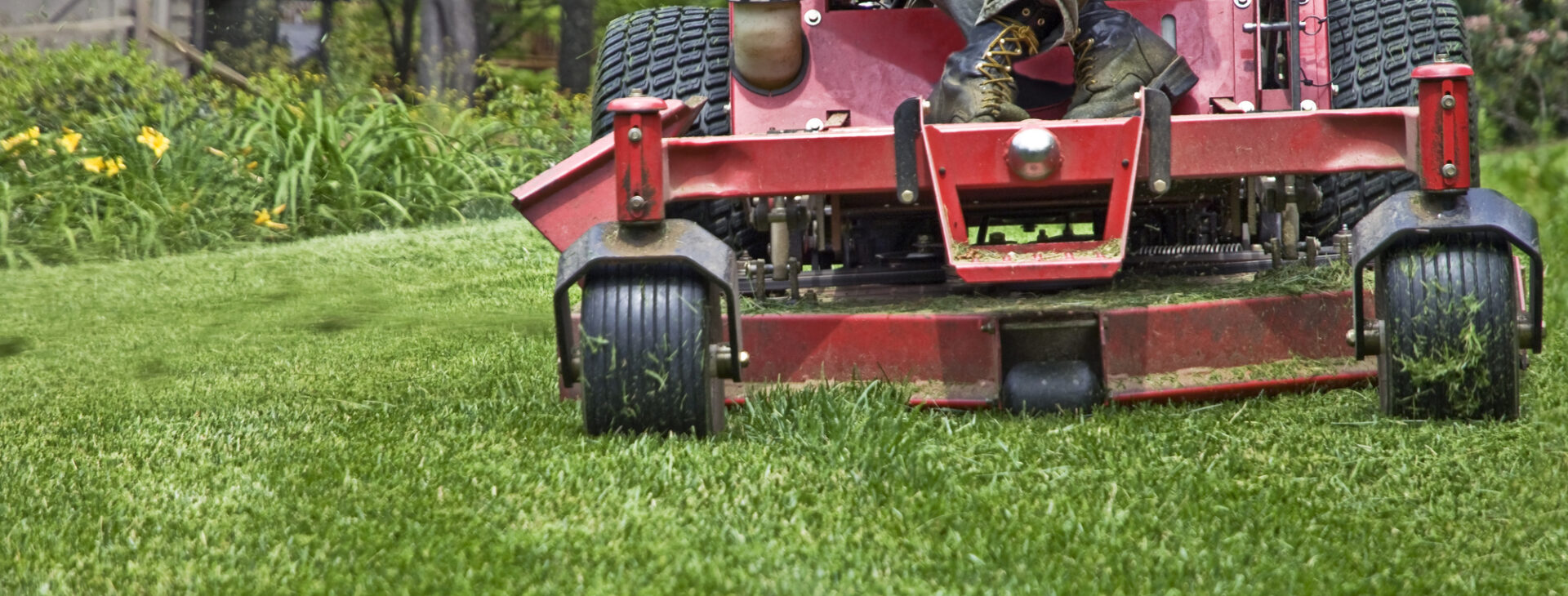 The grass is always greener on
your side of the fence with Mike!