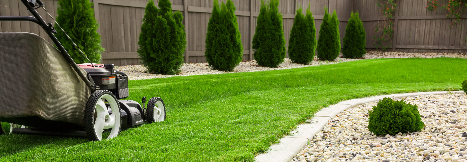 Your lawn and landscape
the way that it should
